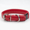 red cat collar - Petiquette Collars