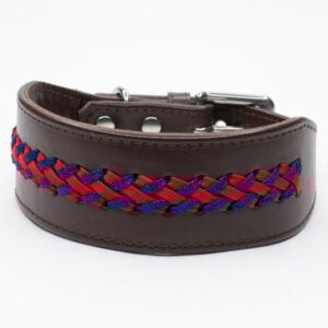 braided greyhound collar - petiquette collars