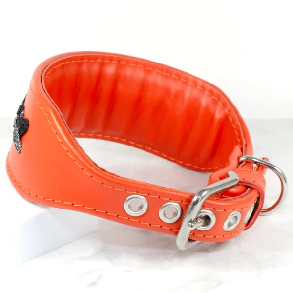 a padded orange whippet collar handmade by Petiqeutte