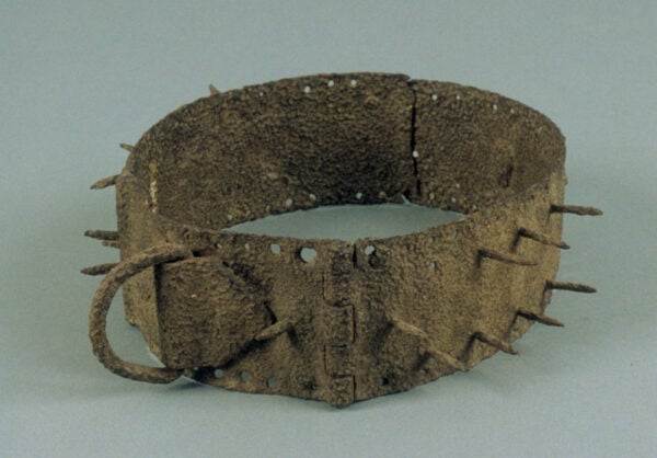 Ancient hot sale dog collars