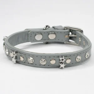 Lyrid Luxe - fancy dog collar - Petiquette