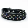 Colour Cascade - rainbow dog collar - Petiquette