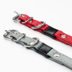 Best Cat Collar - Petiquette
