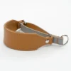 Italian Greyhound Martingale Collar - Petiquette Collars