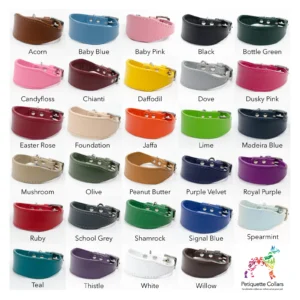 Leather dog collar colour chart - Petiquette Collars