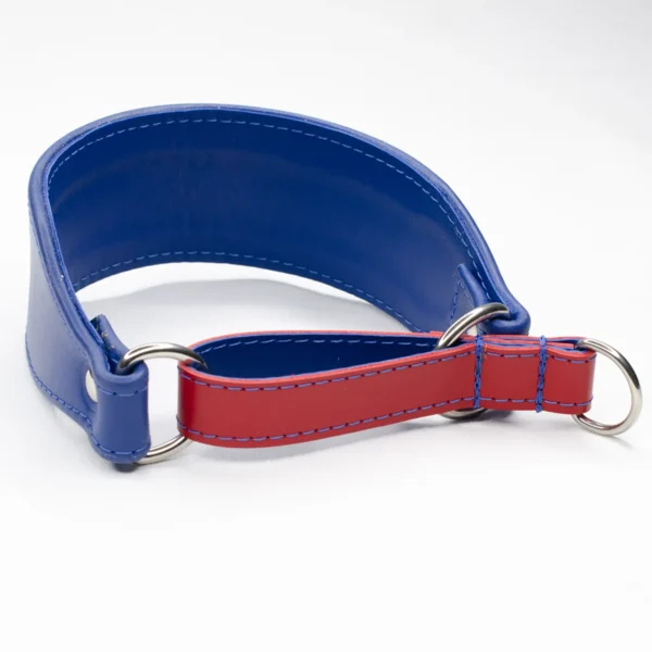 Leather Martingale Collar Greyhound - Petiquette Collars