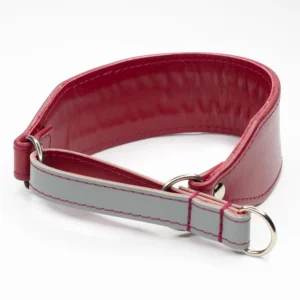 Martingale Whippet - Petiquette Collars