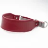 Whippet Martingale Collar - Petiquette Collars