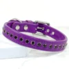 Amethyst Aura Purple Swarovski dog collar - Petiquette Collars