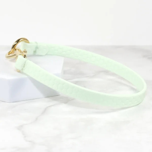 Mint green waterproof house collar - Petiquette Collars