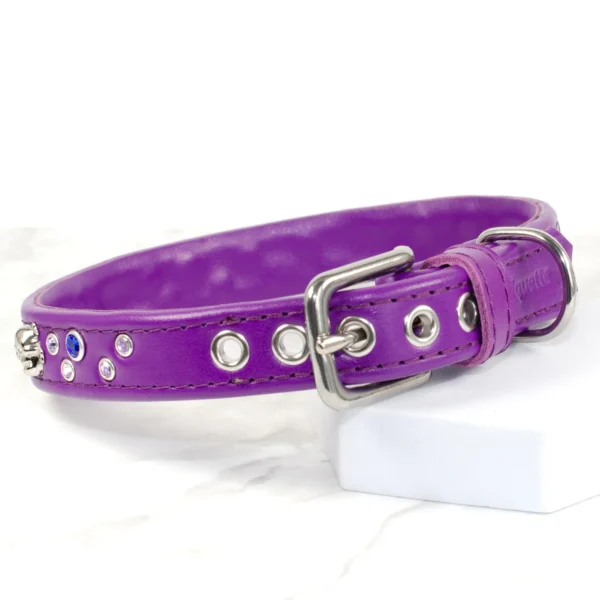 Skull and crossbones crystal collar - Petiquette Collars