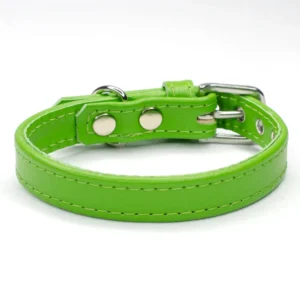 lime green leather dog collar - petiquette collars