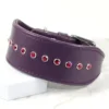 Park Lane rhinestone whippet collar - Petiquette Collars