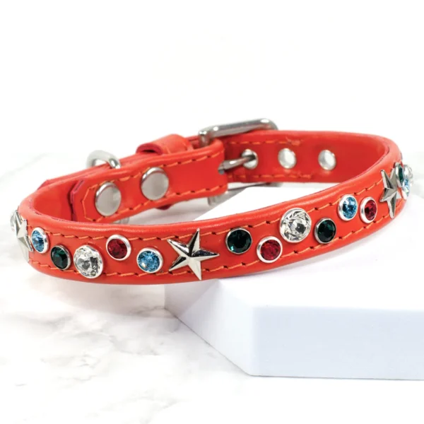 Starstruck sparkly dog collar - Orange - Petiquette Collars