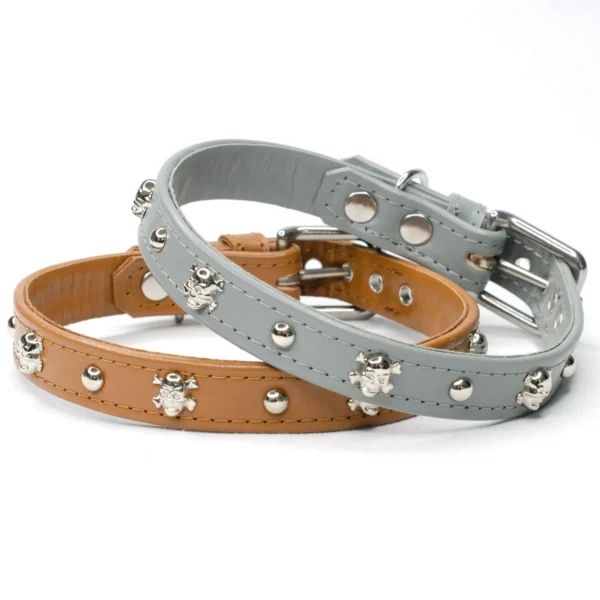 The Bounty skull studded dog collar - Petiquette Collars