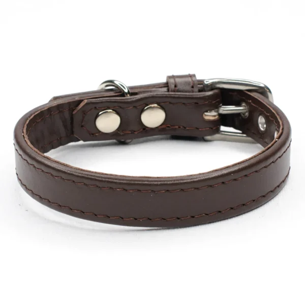 willow dark brown leather dog collar - Petiquette Collars