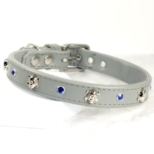 Ahoy There Skull and Crossbones dog collar - Petiquette Collars