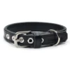 black leather dog collar - Petiquette Collars