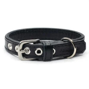 black leather dog collar - Petiquette Collars
