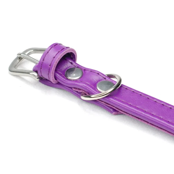 bright purple leather dog collar - Petiquette Collars