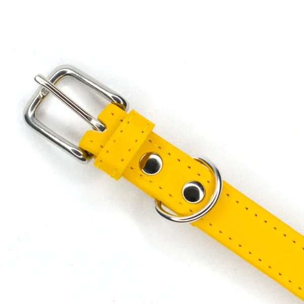 daffodil yellow leather dog collar - Petiquette Collars