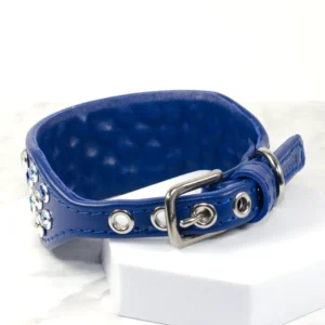 fully lined leather Italian Greyhound collar - Petiquette Collars