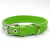 handmade lime green leather dog collar - Petiquette Collars
