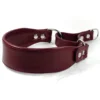 leather martingale collar - Chianti - Petiquette Collars