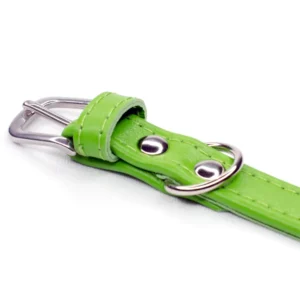 lime green leather collar - petiquette collars