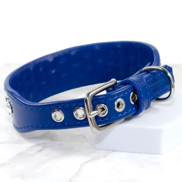 lined leather dog collar - petiquette collars