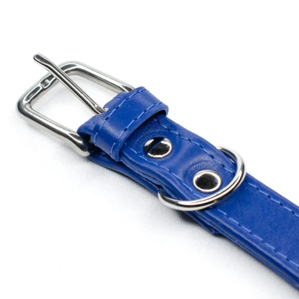 quality blue leather dog collar - Petiquette Collars