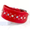 Razzle Dazzle bling Greyhound collar - Petiquette Collars