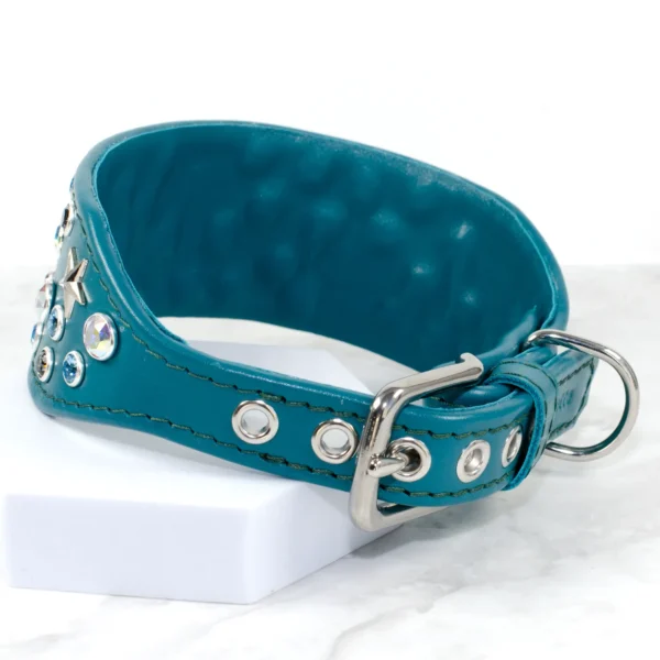 Studded Whippet collar with stars - Petiquette Collars