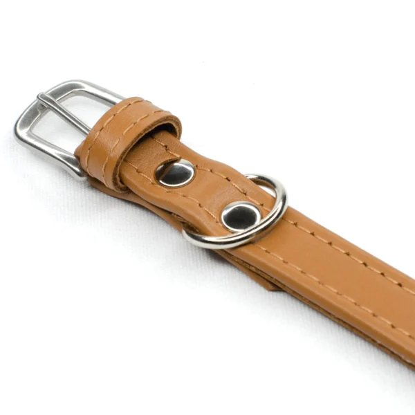 tan leather collar - Petiquette Collars