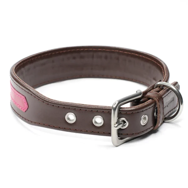 The Strip - Thick leather dog collar - Petiquette Collars