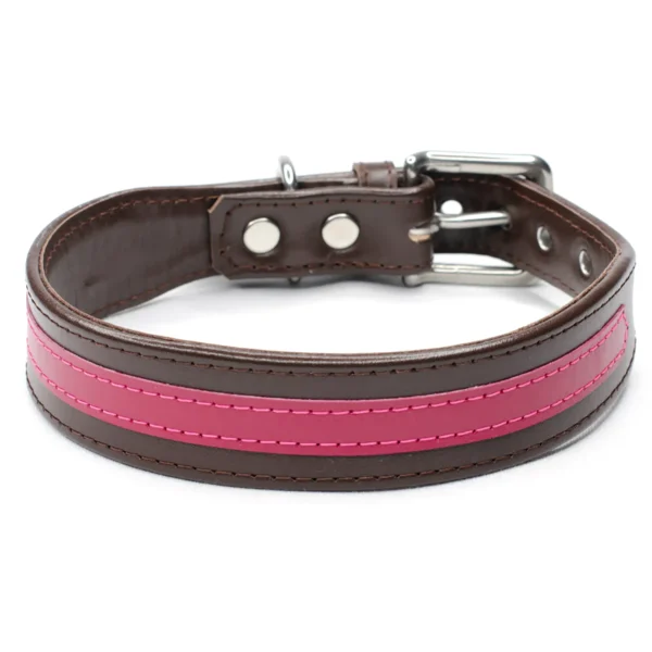 thick leather dog collar - The Strip - Petiquette Collars