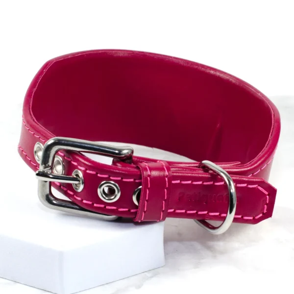 whippet collar with stainless steel hardware - Petiquette Collars