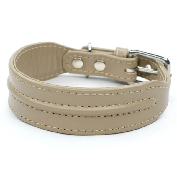 wide dog collar - The Ridge - Petiquette Collars