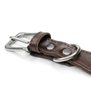 willow brown leather dog collar - Petiquette Collars