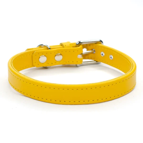 yellow dog collar - Petiquette Collars