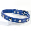 studded rhinestone collar - Dazzling Discs - Petiquette Collars