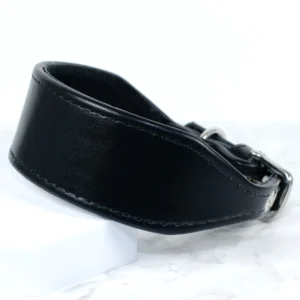 Black Italian Greyhound collar - Petiquette Collars