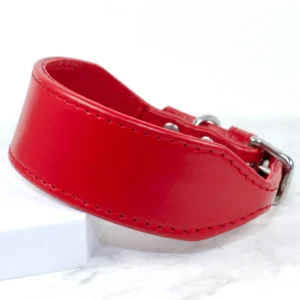 handmade Italian Greyhound collar - Petiquette Collars
