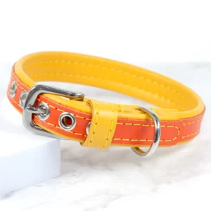 Soft padded leather dog collar - Petiquette Collars