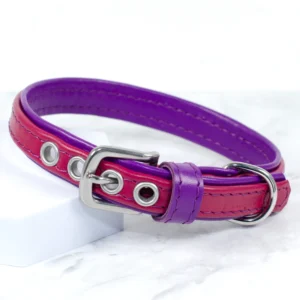 Padded leather dog collar - dusky pink and royal purple - Petiquette Collars