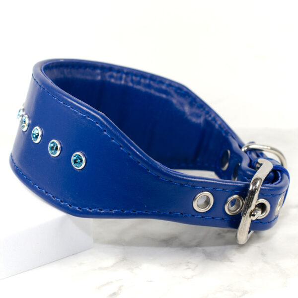 Padded rhinestone collar for whippets - Park Lane - Signal Blue - Petiquette Collars
