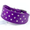Proud as Punch rhinestone Greyhound collar - Royal Purple - Petiquette Collars