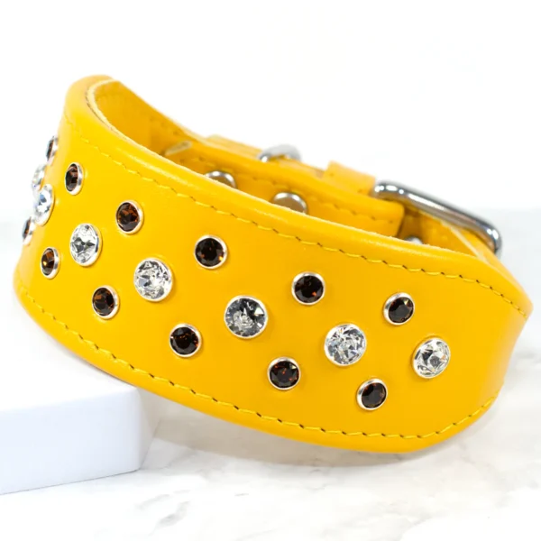 Razzle Dazzle bespoke whippet collar - Daffodil - Petiquette Collars