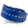 A blue leather Whippet collar in a tapered shape with a row of aquamarine Swarovski crystals, handmade by Petiquette Collars