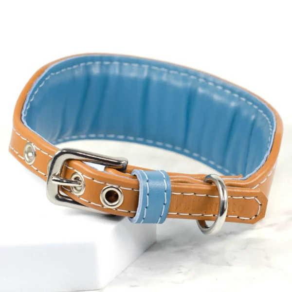 soft leather collar for Iggy - Petiquette Collars
